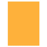 Aperturee - Orange Solid Color Portrait Photo Studio Backdrop